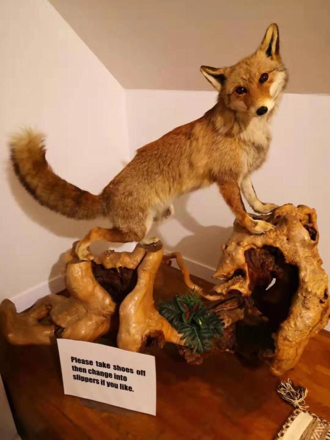 Hakuba Snow Fox Bed & Breakfast Ngoại thất bức ảnh